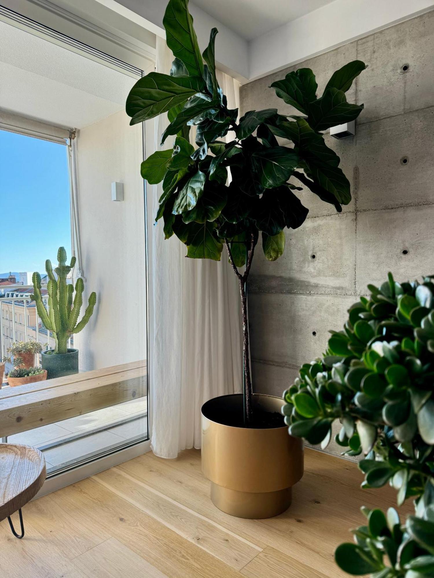 D'Art Penthouse Split Exterior foto
